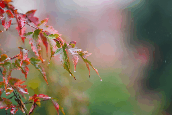 China Issues Renewed Weather Alerts for Rainstorms, Strong Winds China_Issues_Renewed_Weather_Alerts_for_Rainstorms__Strong_Winds