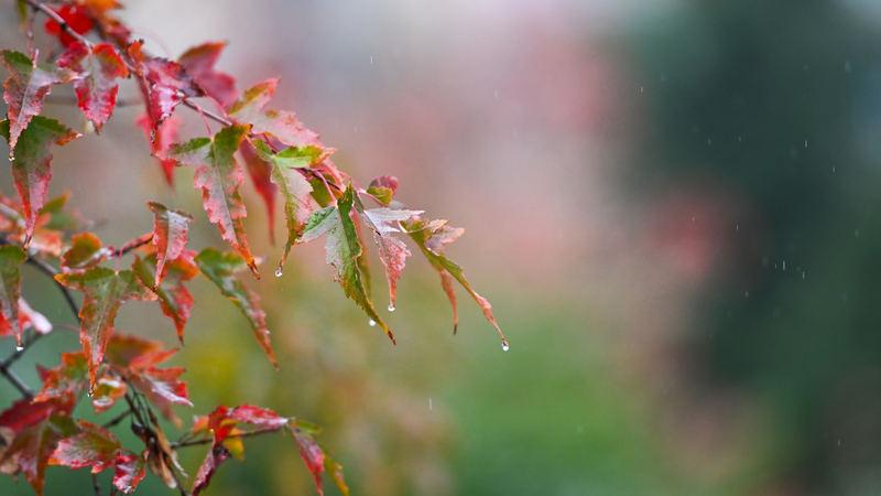 China_Issues_Renewed_Weather_Alerts_for_Rainstorms__Strong_Winds