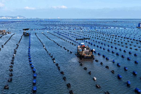 China Leads Global Maritime Justice with Comprehensive Court System: Report China_Leads_Global_Maritime_Justice_with_Comprehensive_Court_System__Report