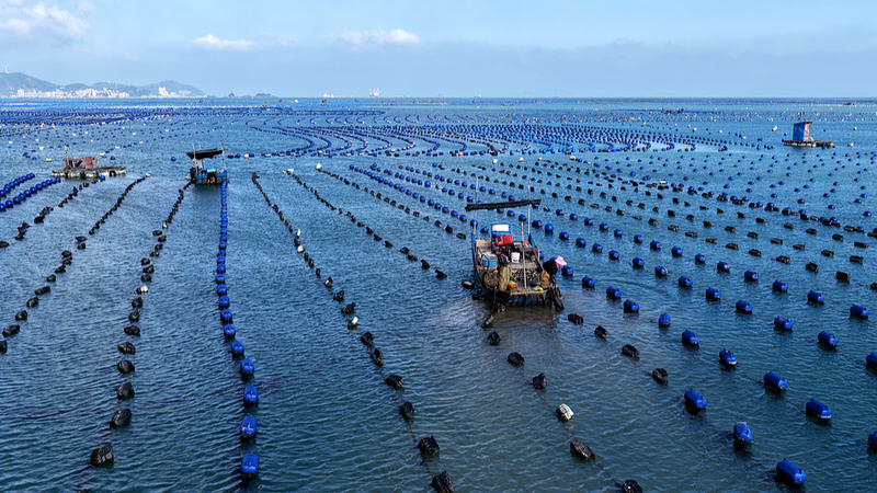 China_Leads_Global_Maritime_Justice_with_Comprehensive_Court_System__Report - Khabar Asia China_Leads_Global_Maritime_Justice_with_Comprehensive_Court_System__Report