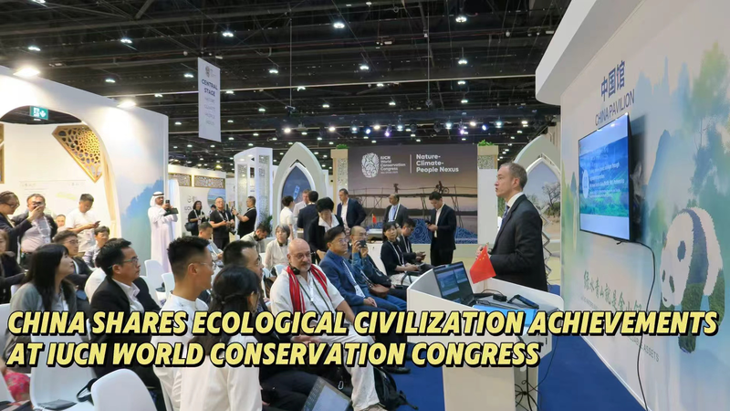 China Showcases Green Transformation at Global Conservation Summit China_Showcases_Green_Transformation_at_Global_Conservation_Summit video poster