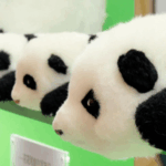 China_Toy_Expo_2023_Showcases_Booming_IP_Licensing_Market_poster - Khabar Asia China_Toy_Expo_2023_Showcases_Booming_IP_Licensing_Market video poster