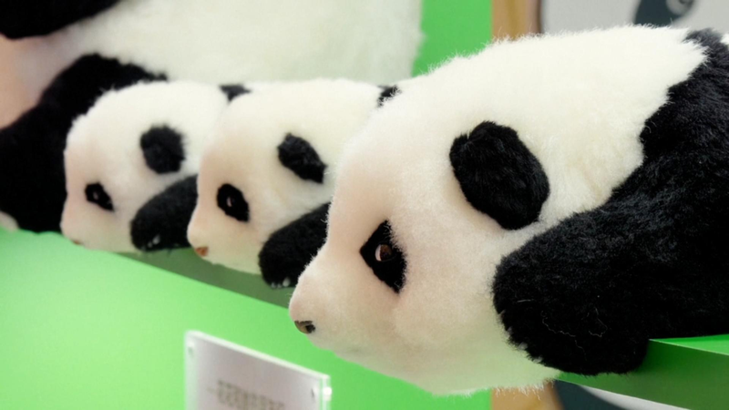 China_Toy_Expo_2023_Showcases_Booming_IP_Licensing_Market_poster - Khabar Asia China_Toy_Expo_2023_Showcases_Booming_IP_Licensing_Market video poster