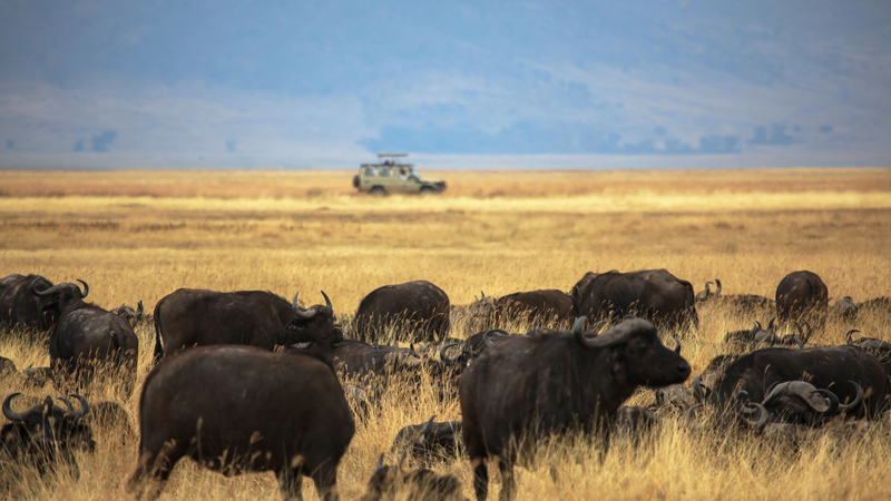 China__Tanzania_Launch_Ngorongoro_Lengai_Geopark_with_Research_Focus
