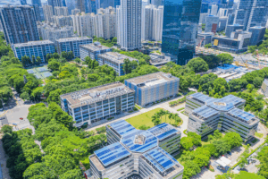 China_s_15th_Five_Year_Plan_Prioritizes_High_Quality_Growth__Global_Partnerships