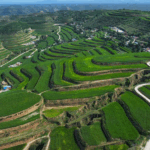 China_s_15th_Five_Year_Plan_Prioritizes_Rural_Revitalization__Food_Security