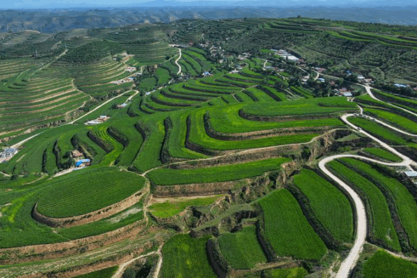 China’s 15th Five-Year Plan Prioritizes Rural Revitalization, Food Security China_s_15th_Five_Year_Plan_Prioritizes_Rural_Revitalization__Food_Security
