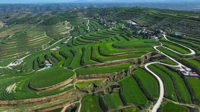 China_s_15th_Five_Year_Plan_Prioritizes_Rural_Revitalization__Food_Security - Khabar Asia China_s_15th_Five_Year_Plan_Prioritizes_Rural_Revitalization__Food_Security