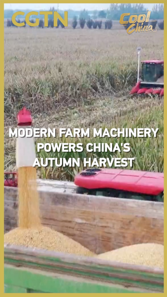 China’s Autumn Harvest Accelerates with Modern Farm Machinery China_s_Autumn_Harvest_Accelerates_with_Modern_Farm_Machinery video poster