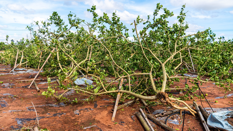 China’s Emergency Systems Weather Successive Climate Crises China_s_Emergency_Systems_Weather_Successive_Climate_Crises