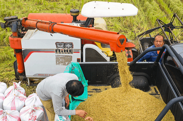 China’s Food Security Strategy Reshapes Global Agricultural Landscape China_s_Food_Security_Strategy_Reshapes_Global_Agricultural_Landscape