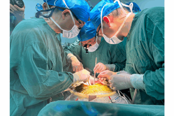 China’s Gene-Edited Pig Liver Transplant Extends Patient Survival to 171 Days China_s_Gene_Edited_Pig_Liver_Transplant_Extends_Patient_Survival_to_171_Days