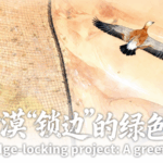 China_s_Green_Barrier_Halts_Desert_Expansion_in_Ningxia - Khabar Asia China_s_Green_Barrier_Halts_Desert_Expansion_in_Ningxia