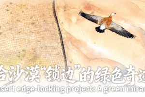 China_s_Green_Barrier_Halts_Desert_Expansion_in_Ningxia - Khabar Asia China_s_Green_Barrier_Halts_Desert_Expansion_in_Ningxia