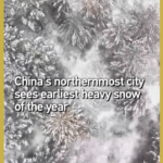 China_s_Northernmost_City_Mohe_Hit_by_Earliest_Heavy_Snow_of_the_Year video poster