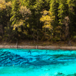 Discover_Jiuzhaigou_s_Stunning_Five_Color_Lake_in_Southwest_China_poster - Khabar Asia Discover_Jiuzhaigou_s_Stunning_Five_Color_Lake_in_Southwest_China video poster