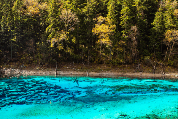 Discover Jiuzhaigou’s Stunning Five-Color Lake in Southwest China Discover_Jiuzhaigou_s_Stunning_Five_Color_Lake_in_Southwest_China video poster