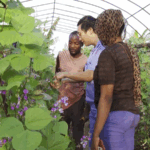 FOCAC_at_25__Beijing_Action_Plan_Drives_Africa_China_Collaboration