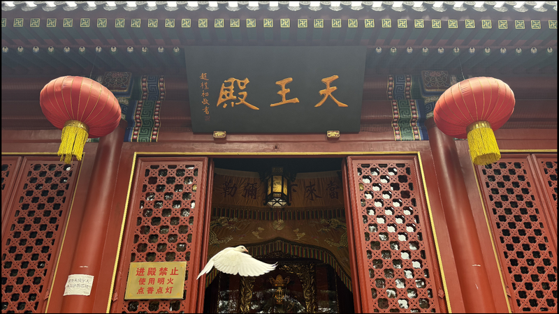 Finding Serenity in Qingdao: A Temple Journey Through Light and Mantra Finding_Serenity_in_Qingdao__A_Temple_Journey_Through_Light_and_Mantra