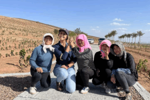 GF70SYNGRAY46QMNKBDL - Khabar Asia Chilean Winemaker Brews Success in China’s Ningxia Vineyards