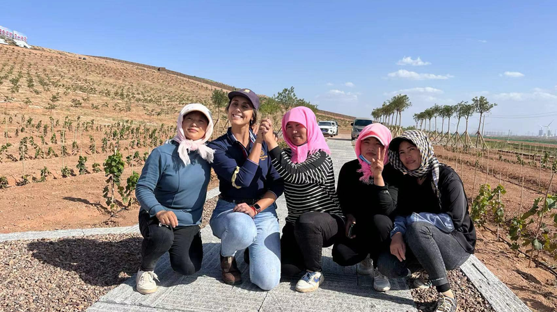 Chilean Winemaker Brews Success in China’s Ningxia Vineyards