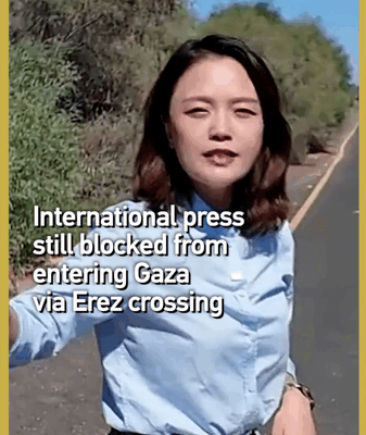 Gaza Access Remains Restricted Despite Ceasefire, Journalists Barred Gaza_Access_Remains_Restricted_Despite_Ceasefire__Journalists_Barred video poster