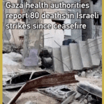 Gaza_Reports_80_Deaths_in_Post_Ceasefire_Strikes__Israel__Hamas_Trade_Blame video poster