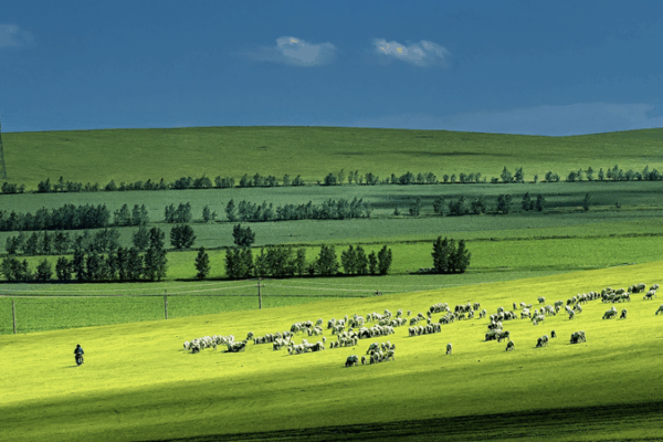 Global_Study_Warns__Intensifying_Droughts_Threaten_Grassland_Ecosystems