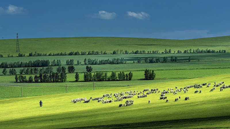 Global_Study_Warns__Intensifying_Droughts_Threaten_Grassland_Ecosystems