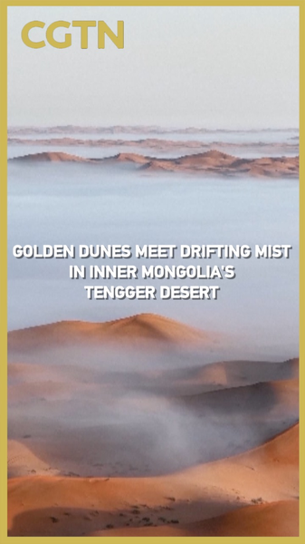 Golden Dunes Meet Mist: Inner Mongolia’s Desert Transformed by Rare Rainfall Golden_Dunes_Meet_Mist__Inner_Mongolia_s_Desert_Transformed_by_Rare_Rainfall video poster