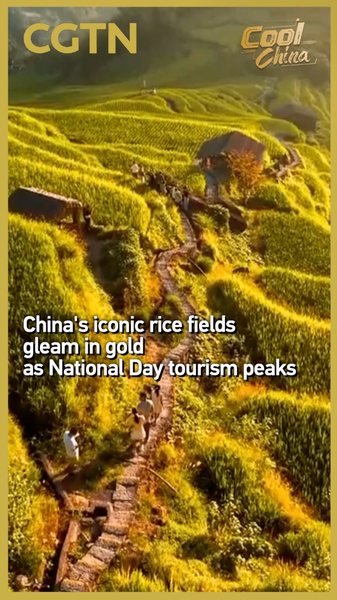 Golden_Harvest__China_s_Terraced_Rice_Fields_Draw_National_Day_Crowds video poster