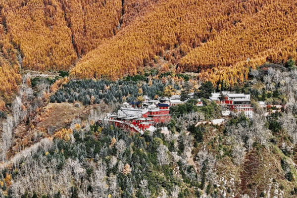 Golden October Transforms Mount Wutai into Autumn Wonderland Golden_October_Transforms_Mount_Wutai_into_Autumn_Wonderland video poster