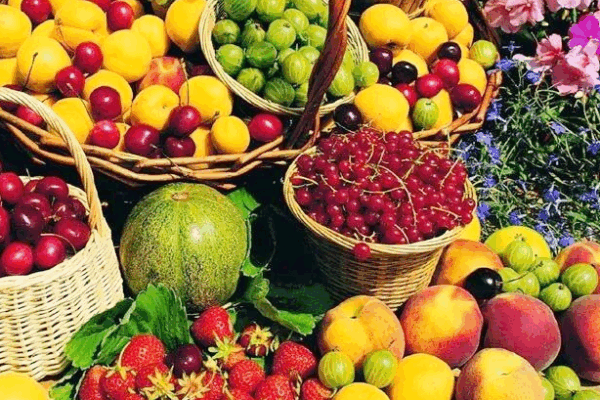 Hainan Free Trade Port Fuels Agricultural Export Growth Hainan_Free_Trade_Port_Fuels_Agricultural_Export_Growth