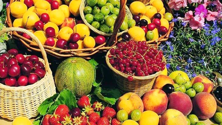 Hainan_Free_Trade_Port_Fuels_Agricultural_Export_Growth