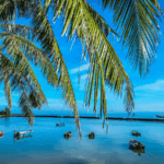 Hainan_s_Ancient_Fishing_Village_Transforms_into_Coastal_Resort_Hub