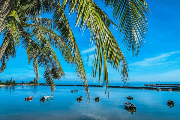 Hainan’s Ancient Fishing Village Transforms into Coastal Resort Hub Hainan_s_Ancient_Fishing_Village_Transforms_into_Coastal_Resort_Hub