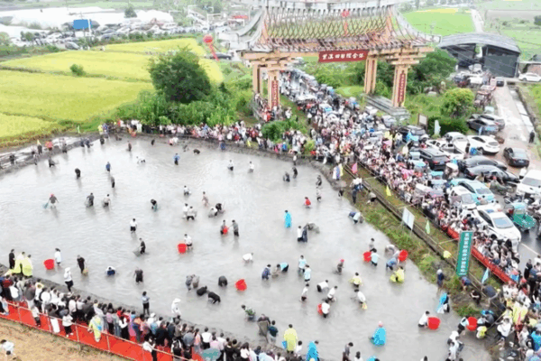 Harvest Festivities Boost Rural Tourism During China’s National Day Holiday Harvest_Festivities_Boost_Rural_Tourism_During_China_s_National_Day_Holiday video poster