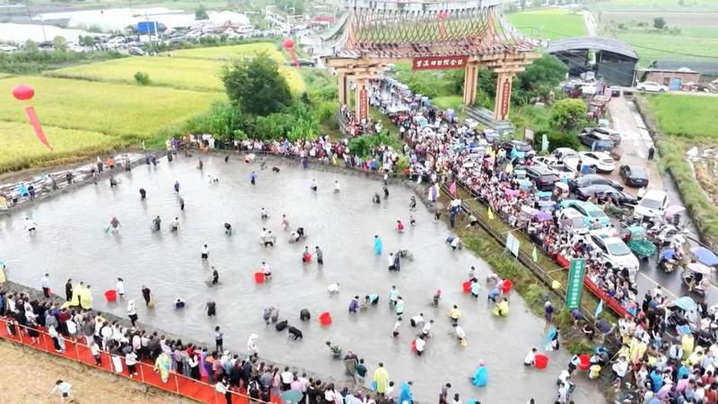 Harvest_Festivities_Boost_Rural_Tourism_During_China_s_National_Day_Holiday_poster - Khabar Asia Harvest_Festivities_Boost_Rural_Tourism_During_China_s_National_Day_Holiday video poster