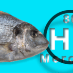 Human_Activities_Amplify_Mercury_Threat_in_Oceans__Study_Warns - Khabar Asia Human_Activities_Amplify_Mercury_Threat_in_Oceans__Study_Warns