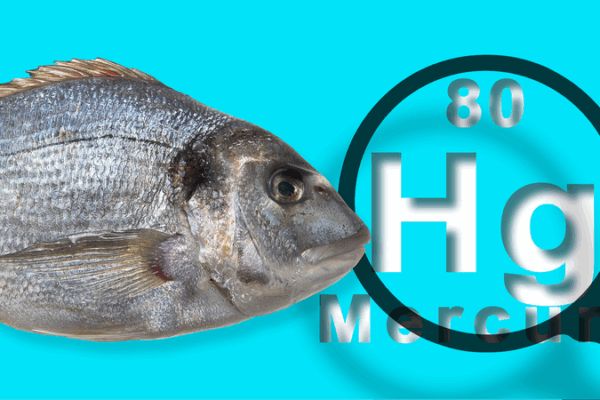 Human Activities Amplify Mercury Threat in Oceans, Study Warns Human_Activities_Amplify_Mercury_Threat_in_Oceans__Study_Warns