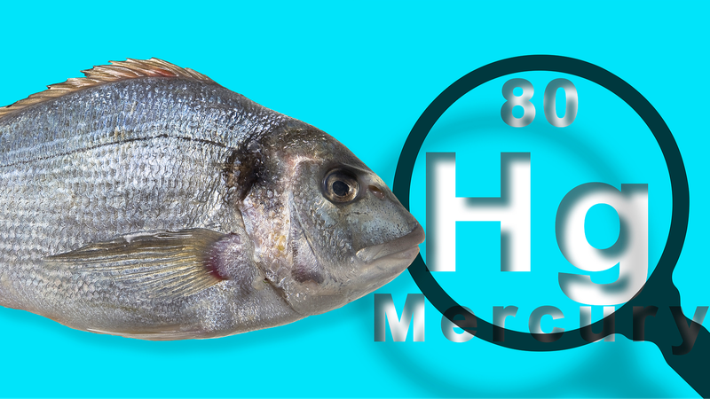 Human_Activities_Amplify_Mercury_Threat_in_Oceans__Study_Warns - Khabar Asia Human_Activities_Amplify_Mercury_Threat_in_Oceans__Study_Warns