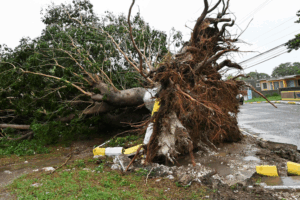 Hurricane_Melissa_Claims_7_Lives_in_Caribbean_Landfall