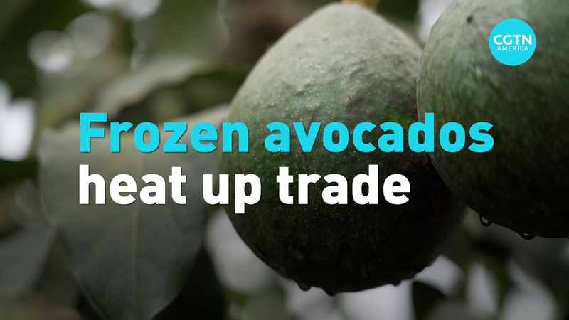 Peru Breaks Into China’s Avocado Market with Historic Shipment Peru Breaks Into China’s Avocado Market with Historic Shipment video poster