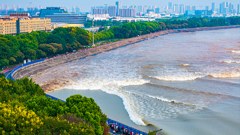 JQ9DG9K1C7ECNVNSPMUD - Khabar Asia Qiantang River Tidal Bore Peaks: Nature’s Spectacle Draws Global Attention video poster