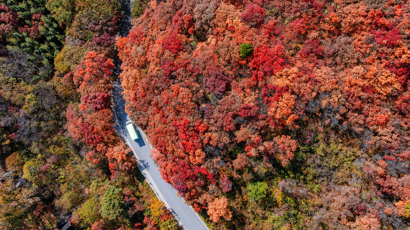 Jinan’s Autumn Splendor Draws Nature Enthusiasts Jinan_s_Autumn_Splendor_Draws_Nature_Enthusiasts