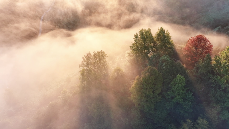 Jingde_County__A_Model_of_Ecological_Harmony_in_East_China video poster