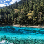 Jiuzhaigou_s_Five_Color_Lake__A_Natural_Wonder_in_Southwest_China_poster - Khabar Asia Jiuzhaigou_s_Five_Color_Lake__A_Natural_Wonder_in_Southwest_China video poster
