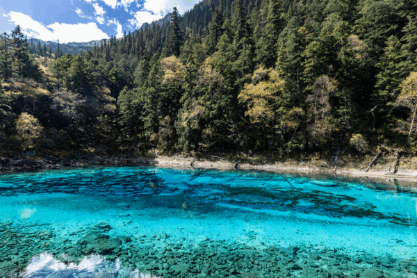 Jiuzhaigou’s Five-Color Lake: A Natural Wonder in Southwest China Jiuzhaigou_s_Five_Color_Lake__A_Natural_Wonder_in_Southwest_China video poster