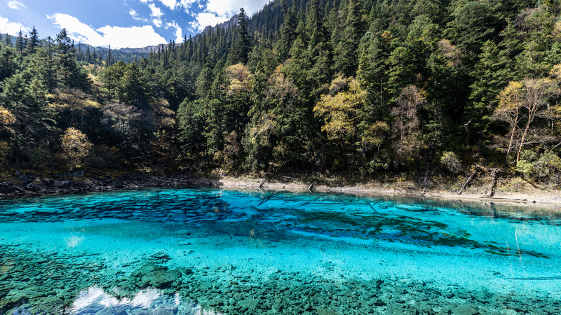 Jiuzhaigou_s_Five_Color_Lake__A_Natural_Wonder_in_Southwest_China_poster - Khabar Asia Jiuzhaigou_s_Five_Color_Lake__A_Natural_Wonder_in_Southwest_China video poster