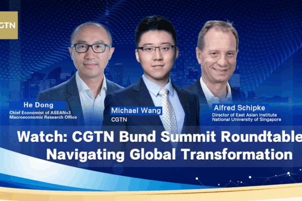 China’s Economic Vision Unveiled at Bund Summit Roundtable China’s Economic Vision Unveiled at Bund Summit Roundtable video poster